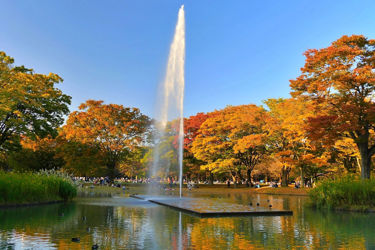アーキタッグの登録建築家・前田健太郎氏のインタビュー写真6